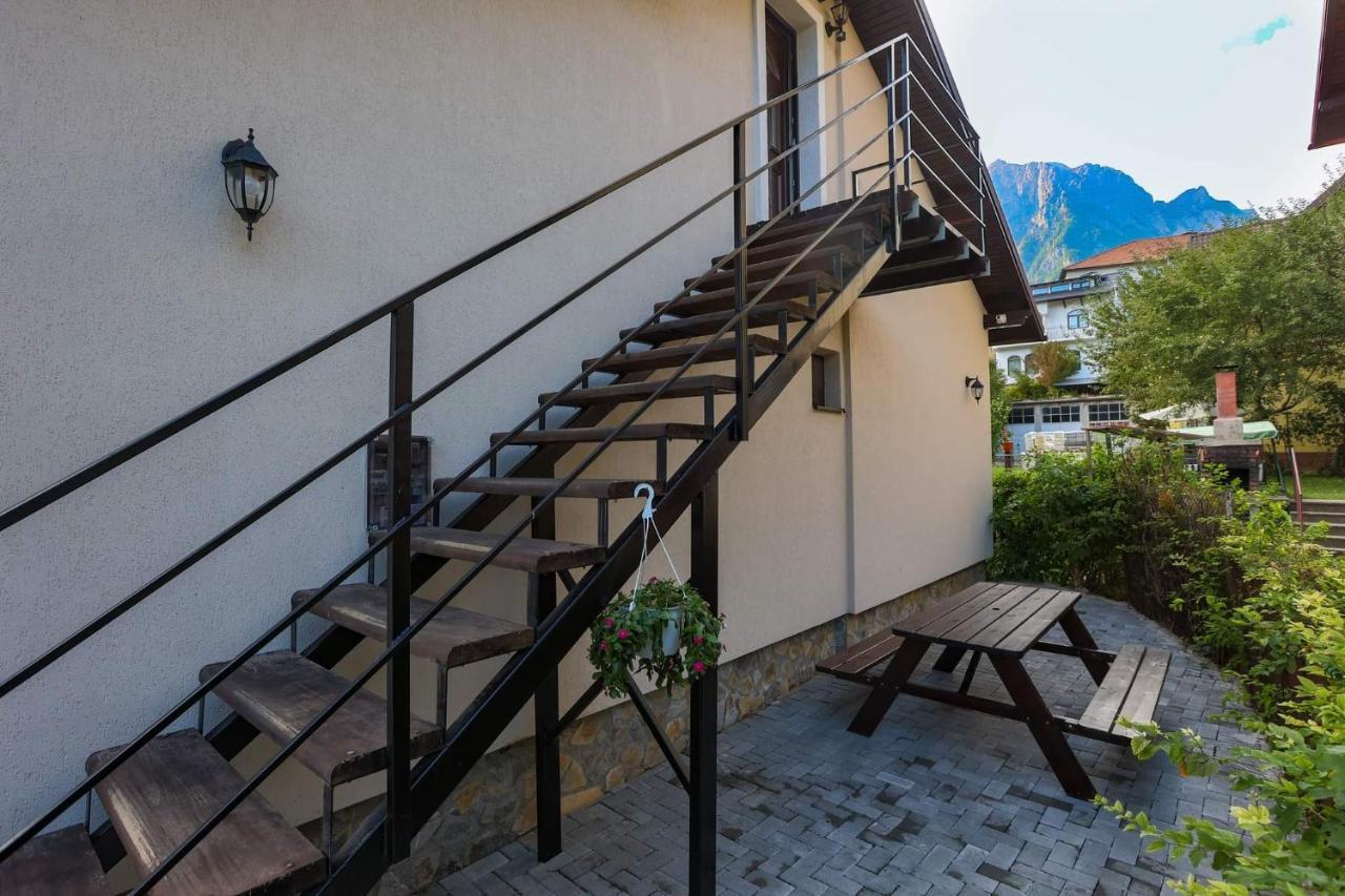 Hotel Casa Andy Buşteni Exterior foto